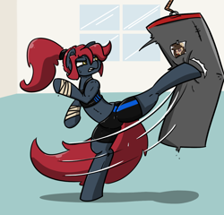 Size: 1266x1216 | Tagged: safe, artist:n-o-n, oc, oc only, oc:jessi-ka, oc:louvely, earth pony, pony, angry, badass, bipedal, clothes, fight, kicking, punching bag, shorts, solo, sports bra, sports shorts, sporty style, sweat, sweatdrop