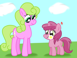 Size: 2048x1536 | Tagged: safe, artist:tiaraworld, daisy, flower wishes, ruby pinch, earth pony, pony, unicorn, g4, adaisable, cloud, crush, cute, daisy (flower), daisypinch, duo, female, field, filly, flower, heart, lesbian, love, mare, mouth hold, pinchybetes, shadow, ship:daisypinch, shipping, smiling