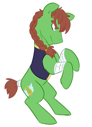 Size: 2765x3816 | Tagged: safe, artist:chub-wub, oc, oc only, oc:swift stride, earth pony, pony, bandage, braid, braided ponytail, clothes, earth pony oc, high res, male, rearing, simple background, smiling, smirk, solo, stallion, tail wrap, transparent background, vest