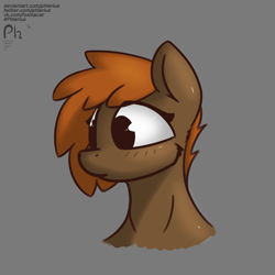 Size: 3000x3000 | Tagged: safe, artist:phlerius, oc, oc only, pony, digital art, high res, solo