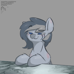 Size: 3000x3000 | Tagged: safe, artist:phlerius, oc, oc only, pony, :3, digital art, high res, solo