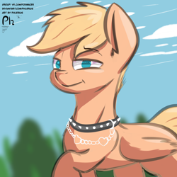 Size: 4000x4000 | Tagged: safe, artist:phlerius, oc, oc only, pegasus, pony, collar, digital art, male, solo, spiked collar, stallion