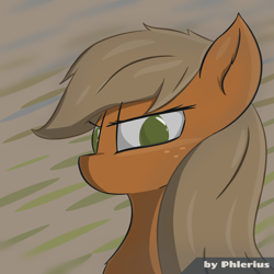 Size: 2200x2200 | Tagged: safe, artist:phlerius, applejack, earth pony, pony, g4, bust, digital art, female, high res, mare, solo