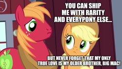 Size: 1280x720 | Tagged: safe, edit, edited screencap, screencap, applejack, big macintosh, earth pony, pony, brotherhooves social, g4, applecest, caption, female, incest, male, mare, ship:applemac, shipping, stallion, straight, text, why