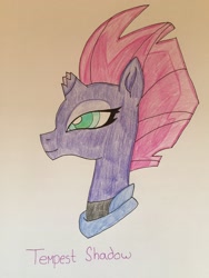 Size: 2448x3264 | Tagged: safe, artist:infernapelover, tempest shadow, pony, g4, high res, solo