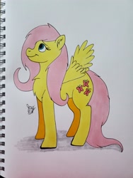 Size: 3024x4032 | Tagged: safe, artist:jay_wackal, fluttershy, pegasus, pony, g4, female, mare, solo, traditional art