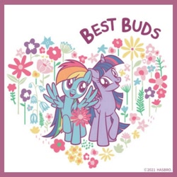 Size: 1080x1080 | Tagged: safe, artist:mylittleponyjpn, part of a set, rainbow dash, twilight sparkle, alicorn, pegasus, pony, g4, official, best friends, cute, duo, duo female, female, flower, heart, twilight sparkle (alicorn)