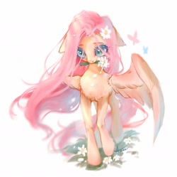 Size: 2001x1995 | Tagged: safe, artist:annie39367262, fluttershy, butterfly, pegasus, pony, g4, beautiful, chest fluff, cute, ear fluff, female, floppy ears, flower, flower in hair, flower in mouth, leg fluff, mare, mouth hold, raised hoof, shyabetes, simple background, solo, spread wings, stray strand, white background, wings