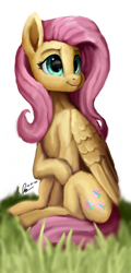 Size: 1080x2250 | Tagged: safe, artist:raphaeldavid, fluttershy, pegasus, pony, g4, grass, smiling, solo