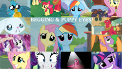 Size: 1961x1105 | Tagged: safe, edit, edited screencap, editor:quoterific, screencap, angel bunny, apple bloom, applejack, big macintosh, discord, fluttershy, gallus, pinkie pie, rainbow dash, rarity, spike, sweetie belle, twilight sparkle, alicorn, dungeons and discords, filli vanilli, friendship is magic, made in manehattan, party of one, putting your hoof down, school daze, sleepless in ponyville, spike at your service, the break up breakdown, the super speedy cider squeezy 6000, trade ya, dungeons and dragons, floppy ears, mane seven, mane six, pen and paper rpg, pinkamena diane pie, puppy dog eyes, puppy-eyed gallus, rpg, starry eyes, twilight sparkle (alicorn), wingding eyes