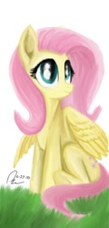 Size: 540x1125 | Tagged: safe, artist:raphaeldavid, fluttershy, pegasus, pony, g4, cute, grass, shyabetes, smiling, solo, spread wings, wings