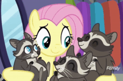 Size: 514x338 | Tagged: safe, screencap, fluttershy, smoky, smoky jr., softpad, pegasus, pony, raccoon, fake it 'til you make it, g4, animated, cropped, cute, discovery family logo, female, gif, hug, mare, shyabetes, smiling, solo focus, whiskers