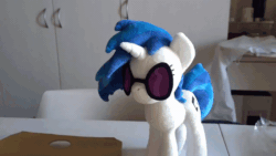 Size: 800x450 | Tagged: safe, artist:nekokevin, dj pon-3, vinyl scratch, human, pony, unicorn, g4, absurd file size, absurd gif size, animated, chair, female, gif, glasses, grabbing, hand, irl, irl human, magnet, magnetic, mare, offscreen character, photo, plushie, smiling, solo focus, sunglasses, table, wrong eye color