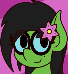 Size: 1415x1529 | Tagged: safe, artist:mrneo, oc, oc only, oc:prickly pears, pony, flower, flower in hair, glasses, looking at you, mole, rule 63, solo