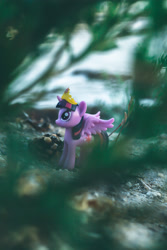Size: 2656x3984 | Tagged: safe, artist:7yashka7, twilight sparkle, alicorn, pony, g4, high res, photo, solo, toy, twilight sparkle (alicorn)