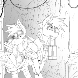 Size: 2000x2000 | Tagged: safe, artist:twotail813, oc, oc only, oc:gear, oc:twotail, pegasus, pony, black and white, brother and sister, cave, clothes, female, grayscale, high res, male, monochrome, siblings, wings