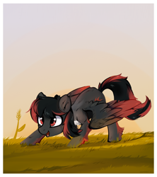 Size: 1432x1610 | Tagged: safe, artist:aureai, oc, oc only, pegasus, pony, chest fluff, colored wings, colored wingtips, ear fluff, grass, happy, leg fluff, male, open mouth, raffle prize, red and black oc, scenery, smiling, solo, stallion, sunset, wing fluff, wings