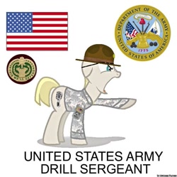 Size: 661x658 | Tagged: safe, artist:ethanchang, oc, oc:tweak, pony, 1st awesome platoon, army, drill sergeant, military