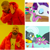 Size: 687x684 | Tagged: safe, edit, edited screencap, screencap, gabby, rarity, spike, dragon, griffon, human, pony, unicorn, g4, cheek kiss, drake, drama, female, hotline bling, interspecies, irl, irl human, kissing, male, mare, meme, op is a duck, op is trying to start shit, photo, ship:spabby, ship:sparity, shipping, straight, winged spike, wings