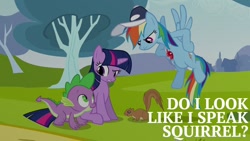 Size: 1000x563 | Tagged: safe, edit, edited screencap, editor:quoterific, screencap, rainbow dash, spike, twilight sparkle, dragon, pegasus, pony, squirrel, unicorn, g4, hurricane fluttershy, season 2, coach rainbow dash, hat, rainbow dash is not amused, twilight sparkle is not amused, unamused, unicorn twilight, whistle