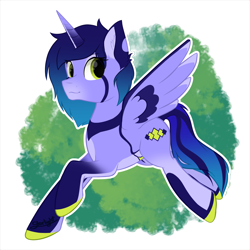 Size: 2500x2500 | Tagged: safe, artist:starlight, pony, commission, full body, high res