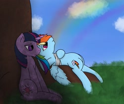 Size: 2635x2202 | Tagged: safe, artist:snow quill, rainbow dash, twilight sparkle, g4, bandage, cloud, cover art, day, grass, high res, rainbow, sitting, story in the source, tree