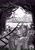Size: 1535x2185 | Tagged: safe, artist:oofycolorful, twilight sparkle, alicorn, pony, g4, behind, book, crystal, fanfic art, forest, magic, monochrome, ponyville, solo, train tracks, twilight sparkle (alicorn)