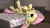 Size: 2560x1440 | Tagged: safe, artist:oceanicskiespon, fluttershy, pegasus, pony, g4, 3d, abdominal bulge, bed, belly, chubby, cookie, cute, female, food, lying down, mare, on back, shyabetes, solo, source filmmaker, stuffed, upside down