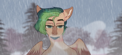 Size: 1280x582 | Tagged: safe, artist:azaani, oc, oc only, pegasus, pony, beard, facial hair, forest, looking at you, male, rain, solo, wet, wet mane, wings