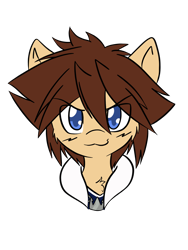 Size: 1536x2048 | Tagged: safe, artist:steelsoul, pony, fanfic:kingdom hearts of harmony, crossover, disney, kingdom hearts, kingdom hearts of harmony, looking at you, male, ponified, simple background, sora, stallion, video game