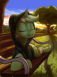 Size: 1494x2000 | Tagged: safe, artist:tsitra360, lyra heartstrings, pony, unicorn, fanfic:background pony, g4, bench, clothes, commission, dig the swell hoodie, eyes closed, hoodie, lying down, prone, smiling, solo, sunset, underhoof