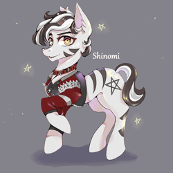 Size: 2000x2000 | Tagged: safe, artist:shinomi, oc, oc only, pony, zebra, clothes, collar, ear fluff, gray background, high res, jacket, looking at you, male, raised hoof, simple background, smiling, solo, stallion, zebra oc