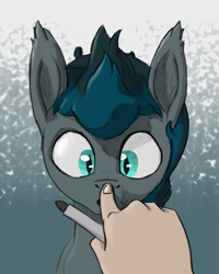 Size: 1569x1965 | Tagged: artist needed, safe, oc, oc only, bat pony, human, boop, hand, offscreen character, offscreen human, pen, pov