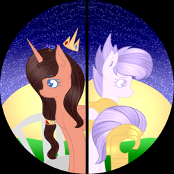 Size: 1200x1200 | Tagged: safe, artist:thecommandermiky, oc, oc:commander miky, pony, unicorn, guard, photo, profile picture