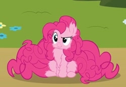 Size: 814x565 | Tagged: safe, artist:derek pony, pinkie pie, earth pony, pony, g4, cheek fluff, chest fluff, cute, diapinkes, ear fluff, excessive fluff, fluffy, i can't believe it's not badumsquish, leg fluff, maximum overfloof, solo
