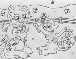 Size: 1280x1001 | Tagged: safe, artist:jamestkelley, angel bunny, fluttershy, oc, oc:galen, avian, butterfly, hippogriff, hippogriffon, hybrid, pegasus, pony, rabbit, g4, animal, cute, cutie mark, fence, grumpy, happy, hippogriff oc, holding, interspecies offspring, meadow, monochrome, offspring, parent:gallus, parent:silverstream, parents:gallstream, pencil drawing, shyabetes, sketch, smiling, spread wings, traditional art, wings