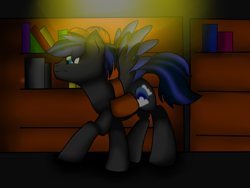 Size: 1600x1200 | Tagged: safe, artist:juliet-gwolf18, oc, oc only, pegasus, pony, bag, book, bookshelf, hat, indoors, male, pegasus oc, saddle bag, solo, stallion, two toned wings, wings