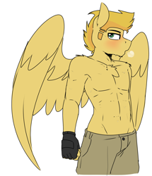 Size: 2000x2321 | Tagged: safe, artist:coatieyay, oc, oc only, oc:radar burst, pegasus, anthro, abs, blushing, breath, breathing, chest fluff, clothes, fingerless gloves, gloves, high res, looking at you, male, muscles, pants, partial nudity, pecs, shoulder fluff, solo, sweat, topless, wings