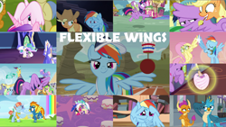 Size: 1974x1111 | Tagged: safe, edit, edited screencap, editor:quoterific, screencap, apple cobbler, apple honey, apple tarty, applejack, carrot top, fluttershy, gallus, golden harvest, goldengrape, linky, pinkie pie, ponet, princess celestia, princess luna, rainbow dash, rainbowshine, rarity, red gala, shoeshine, sir colton vines iii, smolder, spike, spitfire, spring melody, sprinkle medley, star bright, starlight glimmer, sunshower raindrops, twilight sparkle, windy whistles, alicorn, dragon, earth pony, griffon, pegasus, pony, unicorn, a flurry of emotions, castle mane-ia, castle sweet castle, celestial advice, common ground, g4, hurricane fluttershy, parental glideance, road to friendship, school daze, testing testing 1-2-3, the last problem, trade ya!, apple family member, applejack's hat, baby, caption, clothes, coach rainbow dash, collage, coronation dress, cowboy hat, crossed arms, crown, dragoness, dress, eyes closed, female, force field, glowing horn, goggles, hat, horn, jewelry, magic, magic aura, mane six, mouth hold, regalia, spoon, text, twilight sparkle (alicorn), wing hands, wing pull, winged spike, wings