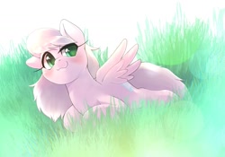 Size: 2048x1430 | Tagged: safe, artist:kurogewapony, oc, oc only, oc:moff cloud, pegasus, pony, blushing, female, grass, mare, simple background, smiling, solo, spread wings, wings