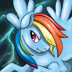 Size: 600x600 | Tagged: safe, artist:commander booty call, rainbow dash, pegasus, pony, g4, bust, female, grin, hair over one eye, lighting, mare, portrait, signature, smiling, solo