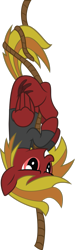 Size: 489x1631 | Tagged: safe, artist:duskthebatpack, oc, oc only, oc:bitter frostfall, pegasus, pony, fallout equestria, female, mare, rope, solo, upside down