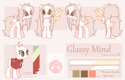 Size: 2500x1600 | Tagged: safe, artist:cofiiclouds, oc, oc only, oc:glassy mind, pegasus, pony, female, mare, reference sheet, solo, two toned wings, wings