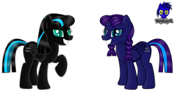 Size: 7680x4154 | Tagged: safe, artist:damlanil, oc, oc:nightlight aura, oc:star eyes, pegasus, pony, brainwashed, commission, duo, egalitarianism, equal cutie mark, equalized, equalized mane, female, grin, looking at you, mare, raised hoof, show accurate, simple background, smiling, story, story included, transparent background, vector, wings