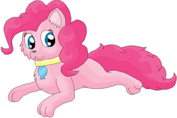 Size: 373x247 | Tagged: safe, artist:alice-harmony, pinkie pie, cat, g4, cute, diapinkes, solo