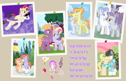 Size: 3816x2480 | Tagged: safe, artist:sunlightshimmer64, little mac, oc, oc only, oc:apple flower, oc:fast wind, oc:fire desh, oc:flower (sunlightshimmer64), oc:jacob, oc:jason, oc:melody, oc:star magic, oc:strong heart, oc:sunlight shimmer, oc:sweet candy, earth pony, hybrid, pegasus, pony, unicorn, g4, base used, canon x oc, clothes, coat markings, female, flying, high res, interspecies offspring, looking at each other, male, mare, next generation, oc x oc, offspring, offspring shipping, parent:applejack, parent:big macintosh, parent:discord, parent:fancypants, parent:fire streak, parent:flash sentry, parent:fleur-de-lis, parent:fluttershy, parent:hoity toity, parent:marble pie, parent:party favor, parent:pinkie pie, parent:princess celestia, parent:rainbow dash, parent:rarity, parent:soarin', parent:spitfire, parent:starlight glimmer, parent:sunburst, parent:sunset shimmer, parent:trouble shoes, parents:dislestia, parents:fancyfleur, parents:flashimmer, parents:fluttermac, parents:marbleshoes, parents:partypie, parents:rainbowstreak, parents:raritoity, parents:soarinfire, parents:starburst, photo, scarf, shared clothing, shared scarf, shipping, side hug, simple background, socks (coat markings), sperm donation, stallion, straight, thumb tacks, transparent background, watermark