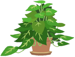 Size: 429x323 | Tagged: safe, phyllis, g4, background removed, no pony, philodendron, plant, potted plant, simple background, solo, transparent background