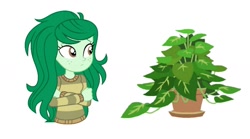 Size: 1193x665 | Tagged: safe, phyllis, wallflower blush, equestria girls, equestria girls specials, g4, my little pony equestria girls: better together, my little pony equestria girls: forgotten friendship, female, simple background, theory, wallflower is a plant, white background