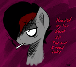 Size: 701x617 | Tagged: safe, artist:icy wind, oc, oc only, oc:miss eri, pony, black and red mane, emo, smoking, solo, text, two toned mane
