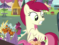 Size: 1868x1445 | Tagged: safe, screencap, roseluck, earth pony, pony, g4, it isn't the mane thing about you, cropped, female, flower, mare, solo